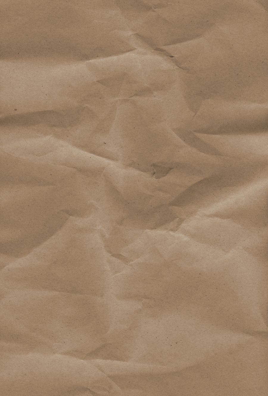 Clsoe up of a stone surface — Every photoaicompany design tool