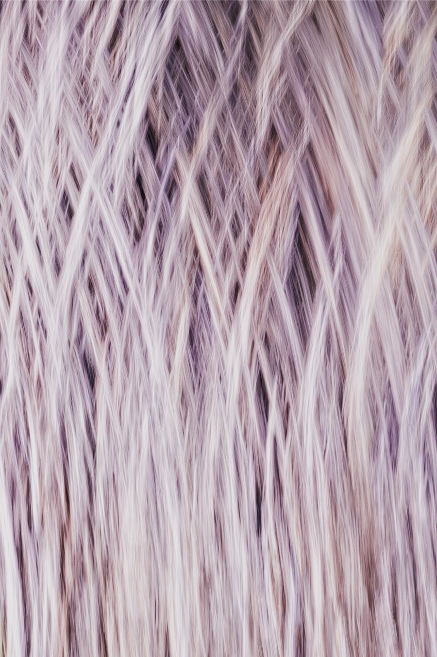 A close up of a purple and white wig — Add Text annotated figure