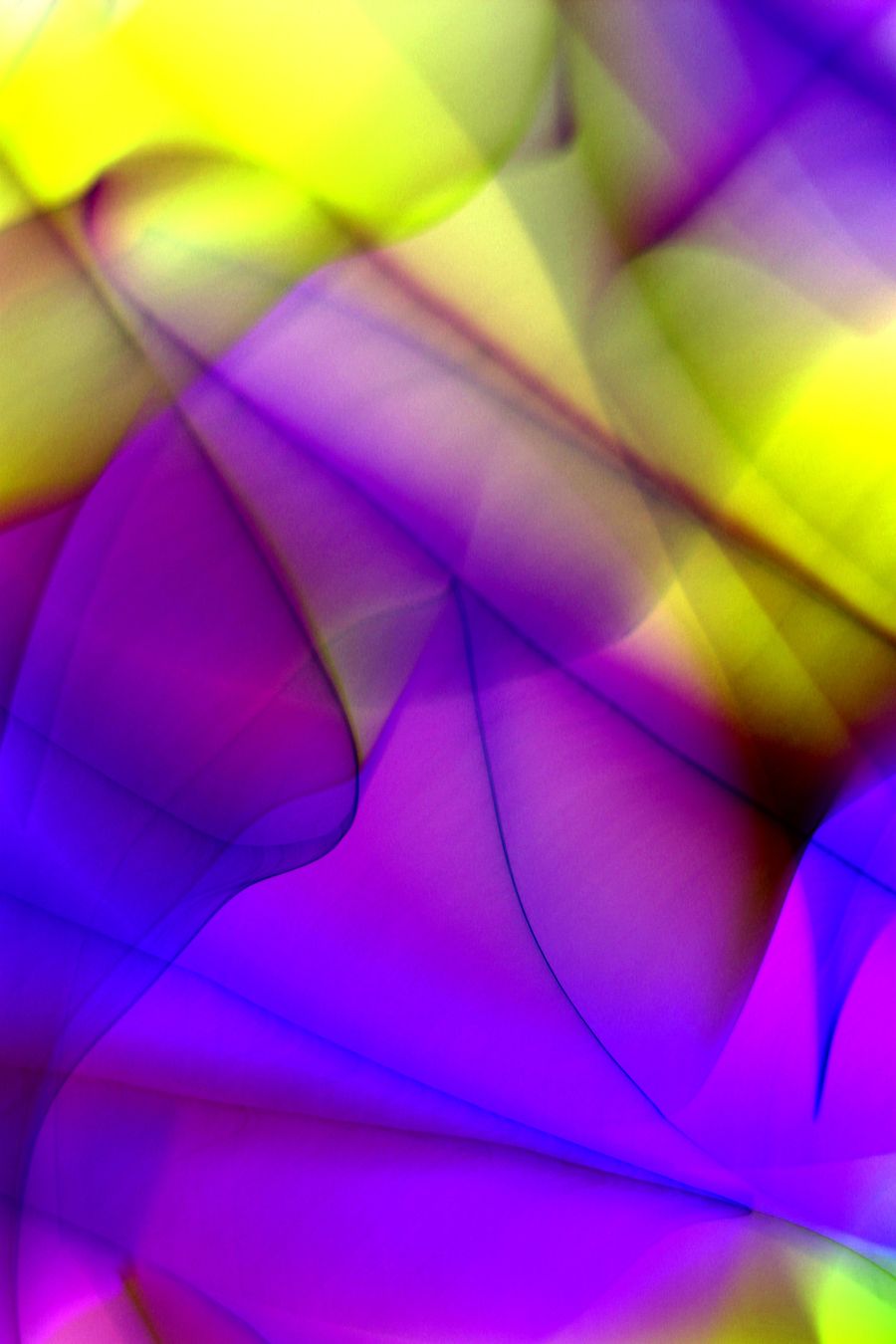 Vibrant abstract light painting art — Terms of Service phone mockup