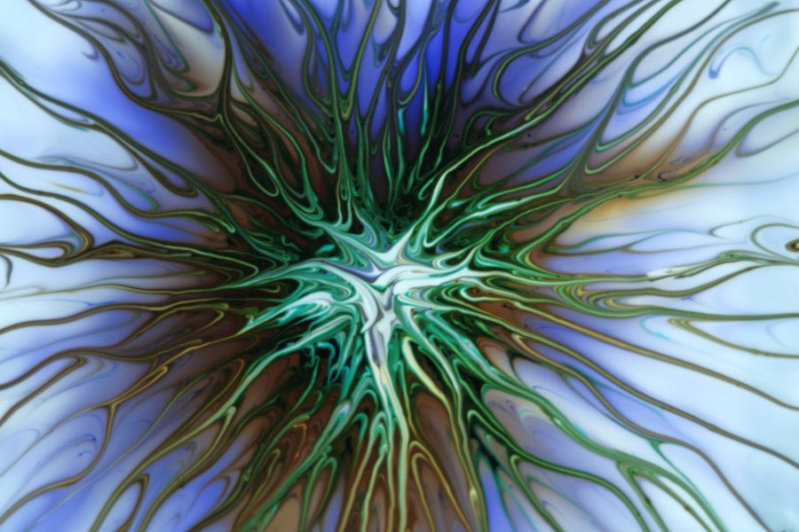 Colorful abstract fluid art with organic patterns — stock photo for Privacy Policy