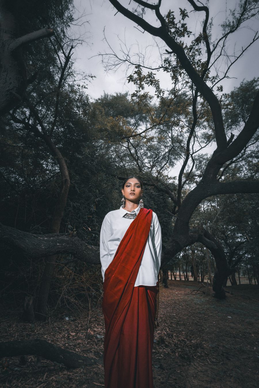 Elegant model in saree amidst forest setting — stock photo for PhotoAI Company — AI photo & design editor